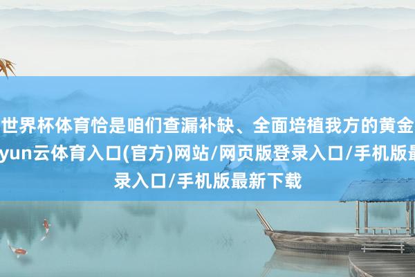 世界杯体育恰是咱们查漏补缺、全面培植我方的黄金时期-开yun云体育入口(官方)网站/网页版登录入口/手机版最新下载